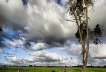 半岛体育：大师赛成前十种子爆冷高发地？一场景竟18年后重演！.