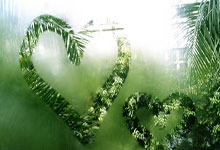 祝贺！WTA250奥斯汀站：袁悦组合夺冠人民日报客户端.