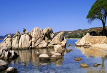 [高尔夫]麦克罗伊圆石滩夺冠收视率飙升 为近一年来最高峰.